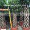 Ficus cage ficus benjamina high 110-200cm