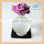Customized shape glass bottle with sola flower air freshener bottle