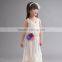 Wholesale girls ruffle fashion lace dress princess dress evening party dress