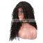 Brazilian virgin hair preplucked deep wave full lace human hair wig