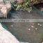 Agriculture Protection Anti Bird Net To Cover Pool