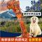 Pet treat Dog food Promotions quality Medium Beef & Cod Slice