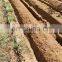 dichting weeder farm garden tools Chinese production Four wheel drivemini rotary power tiller cultivator