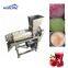 Spiral Fruit/Vegetable/Pineapple/Lemon/Carrot/Ginger Juice Extractor Squeezing Machine
