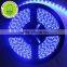 whole sale high cri led strip double row 5M 5630 battery power led lights strip