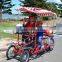 Amusement park renting quadricycle surrey bikes