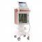 New arrival 5 in 1 oxygen facial water oxygen atomization pressure rf cold hot hammer Dermabrasion Machine