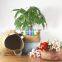 K&B 2021 Amazon hot sale China large round straw hotel seagrass plants storage basket with cover