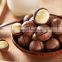 Wholesale for macca root/Macca Nuts Macadamia Nut Raw Organic/Dried macca nut from Vietnam