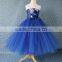 Kids new elsa dress movie formal dress and snowflake fabric for elsa