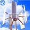 Richuan 2015 ot sale !!! 600W Vertical Wind Turbine Generator