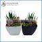 Home decorative Artificial mixed Mini succulent plant pvc potted succulent plant with different styles