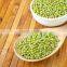 New Crop Peeled Green Mung Beans