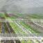 Hydroponics Greenhouse