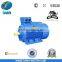 Y2 Cast Iron Three Phase Electrical Motor