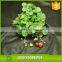 Sample book for fabric weed control fabric perforated nonwoven landscape fabric