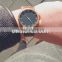 top brand watch color nylon strap watches stainless steel watch quartz watch waterproof nato nylon strap watch