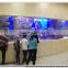 Big Wall fish aquarium/Wall Mounted Fish Tank