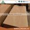 Cheap Bintangor 12mm Bent Furniture Plywood