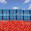 2015 new season Tomato paste in drum