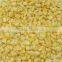 Supply fozen dried sweet corn with good quality with good quality for sale