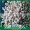 Wholesale Artificial Selection Cedar Pine Nut Kernels in Bulk