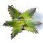 Artificial Potted Aloe Succulent Plant With Beautifully Variegated Leaves