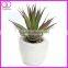 artificial agave faux succulent