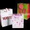 Christmas day paper bag & Celebration packaging paper bag