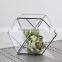 Hanging geometric glass terrarium, glass globe hanging terrarium