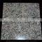 Most popular granite polychrome tile