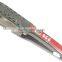 Flat Iron with temperature adjustable