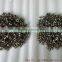 bolts large quantity in store titanium chainring bolts Ti chain-ring bolts