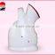 2015 hot sale personal home sue portable face steamer
