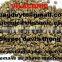 ROBUSTA COFFEE BEANS SCR 13 UNWASHED (website: davis.thong, mobi: +84 986 778 999)
