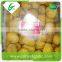 Water wholesale frozen chestnuts starch