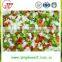 Chinese bulk high quality new crop frozen mixed vegetables