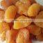 dried peach/apricot/apple /cherry