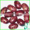 Dried (Round Shape) Red Speckled Sugar Beans