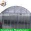 Customized Polycarbonate Sheets Vegetable Greenhouse