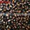 Black Water Melon Seeds