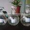 2016 PROMOTUTION PRODUCT FASHION GLASSWARE MADE IN CHIINA HIGH QUALITY WINE BOTTLE