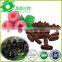raspberry ketones diet pills best supplement capsules