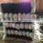 5 foot plactic coated chain link fence