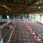 Low cost prefab double floor automatic poultry house for broilers