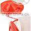 Poultry chicken drinker/ feeders for chickens/ automatic poultry drinkers