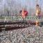 Mechanical Track Jack Machine for Sale / Lifting Jack