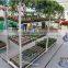 376 grow sapling tray cart