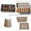 paper pulp egg tray packing
