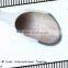 bamboo/wooden cheap tea spoon for tea party